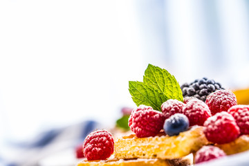 Fresh waffles with berries sugar powder ant mint leaves.