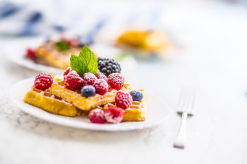 Fresh waffles with berries sugar powder ant mint leaves.