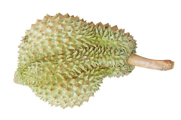 Durian with green stem tropical fruit isolated on white backgroud 