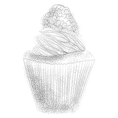 a cupcake with raspberry doodle