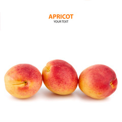 Isolated apricots. Fresh apricot fruit isolated on white background. Tropical abstract background. Fresh fruits. Place for your text.