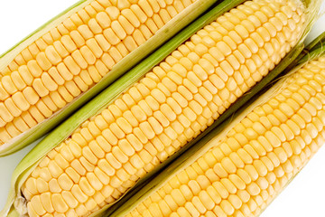 Fresh yellow corn cobs isolated on white background. Fresh vegetables.