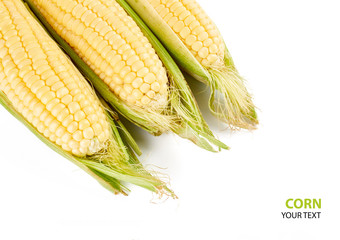 Fresh yellow corn cobs isolated on white background. Fresh vegetables.
