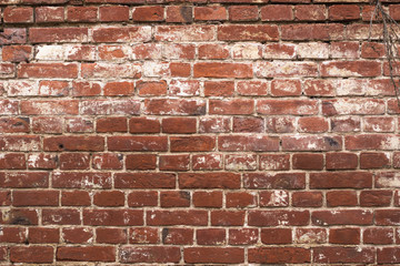 Old shabby brick red wall with white stucco, detailed texture. Grungy background