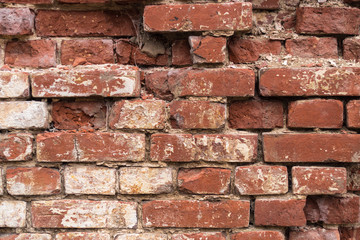 Old shabby brick red wall with white stucco, detailed texture