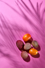 Tropical Fruits Litchi and Kumquat on a pink paper background with shadows. Top view