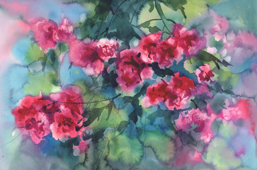 violet roses in green background watercolor
