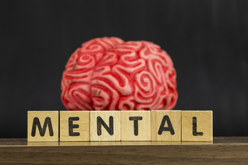 Brain and Mental , Mental Health Concept © lucid_dream