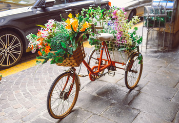 Fototapeta na wymiar Bicycle with flowers in the old street in Padova, Italy