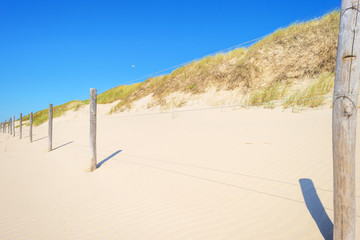 Hilly dunes in sunlight below a blue sky in summer