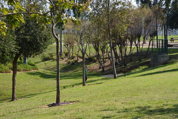 Herzliya Park
