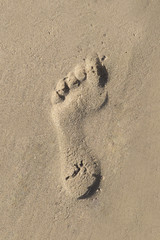 Fototapeta na wymiar Footprint on the sand of the beach