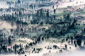 village and forest in morning fog on mountain