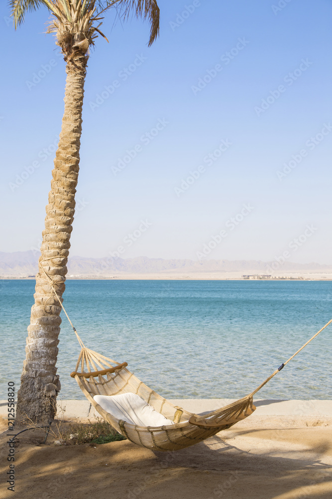 Wall mural Hammock haning on tropical beach with palms