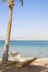 Hammock haning on tropical beach with palms