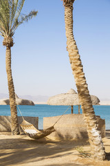Hammock haning on tropical beach with palms