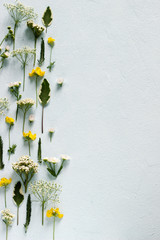 Composition from various wildflowers on a light blue background.