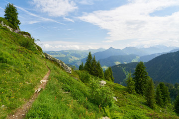 Fototapeta na wymiar Wanderweg im Sommer in den Bergen der Alpen