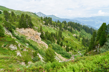 Fototapeta na wymiar Alpen Gebirge Landschaft im Sommer