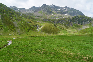 Fototapeta na wymiar Grüne Wiese vor Berg in den Alpen