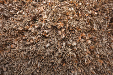 perfectly stacked pine firewood as background