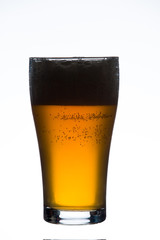 craft beer glass on white background