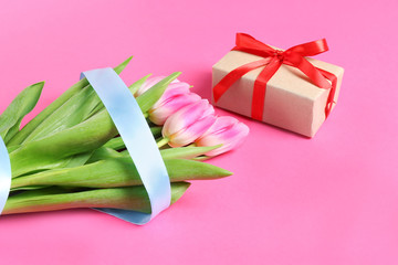 tulips with a gift on a pink background