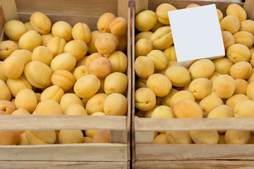 fresh apricot fruit colorful texture mock-up