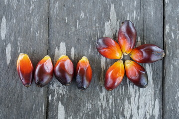 palm fruit