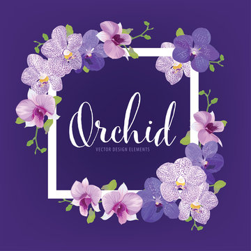Floral frame with tropical orchid flowers on purple background template. Vector set of blooming floral for holiday invitations, greeting card and fashion design.