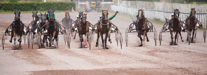 Course hippique de trot