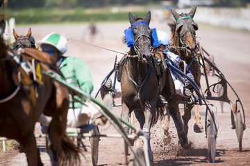 Course hippique de trot