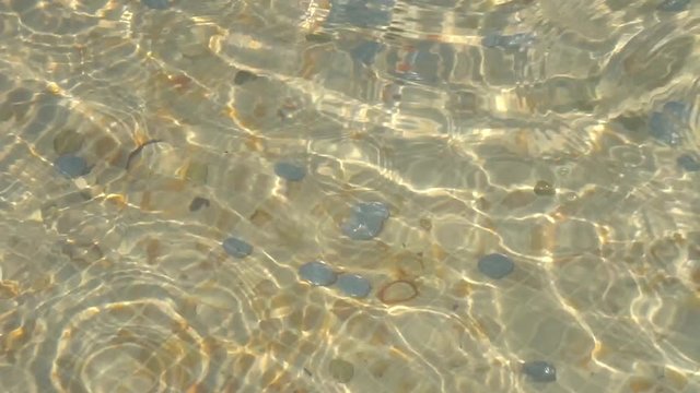 coins in the fountain of happiness
