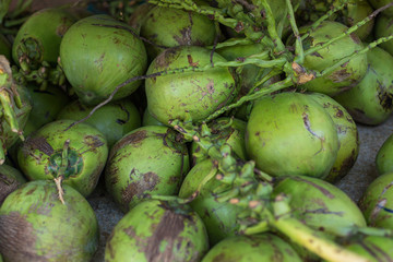 coconut harvest. many coconuts. coconut for food textures. . Landscape. A backdrop of coconut. Street vegetable market. Group of coconuts