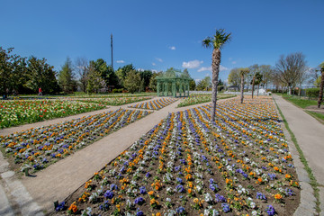 Die vielseitigen Blumengärten Hirschstetten mit vielen Themengärten, Palmenhaus und einen kleine ZOO in Wien an einem Frühlingstag