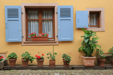 Fototapeta na wymiar Fensterläden und Fassade eines Hauses im Elsass