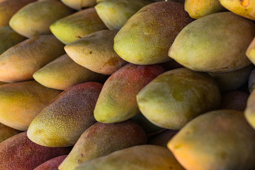 Fresh colorful tropical mangoes on display at outdoor farmers market