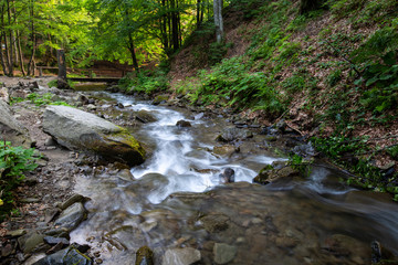 Stream in a mountain forest.