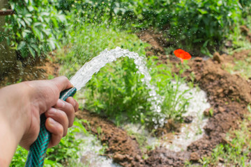 garden watering season