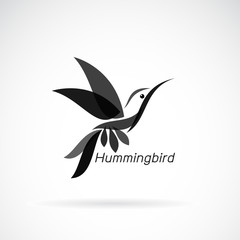 Vector of hummingbird design on white background., Wild Animals. Birds., Easy editable layered vector illustration.