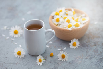 Fototapeta na wymiar chamomile tea with fresh flowers