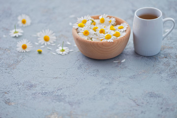Obraz na płótnie Canvas chamomile tea with fresh flowers