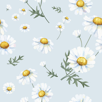 Hand drawn white common daisy pattern