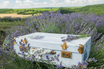 Old retro vintage suitcase  on the background of hilly lavender and other fields.
