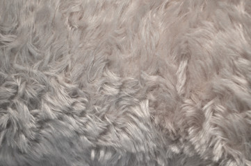 white wool texture background
