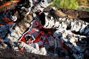 Metal brazier with burning wood outdoors, closeup