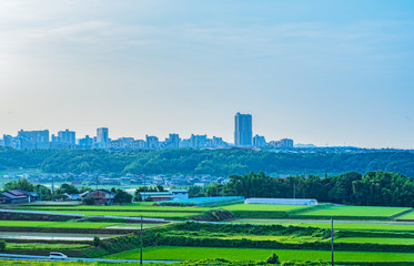 神戸市西部・丘陵のニュータウンと田園の朝