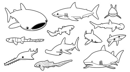 Various Sharks Cartoon Vector Illustration Monochrome 2 - obrazy, fototapety, plakaty
