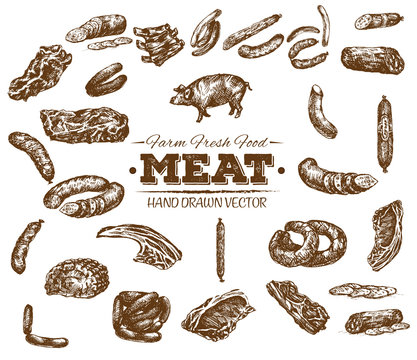 Collection Of Hand Drawn Meat Sketch