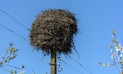 White stork's nest on the pillar